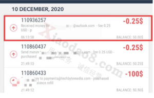 www.xiaodao8.com-paxum转账没有入账